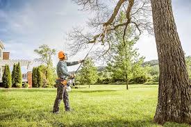 Best Leaf Removal  in Fowler, CA